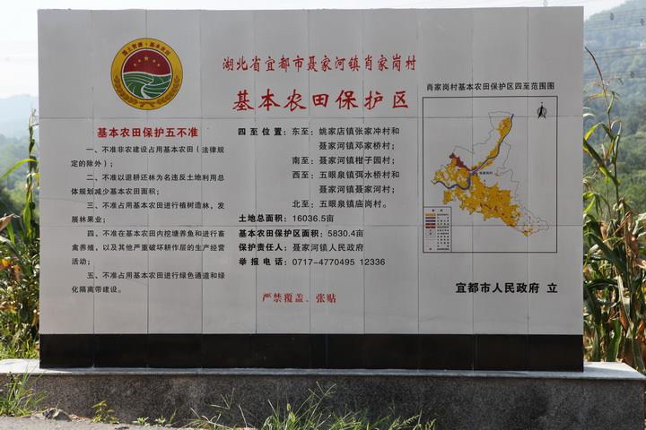 国土资源部关于全面实行永久基本农田特殊保护的通知