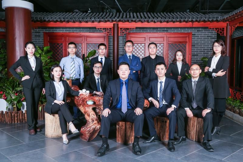 二十余名人大代表旁听杨勇律师代理案件开庭